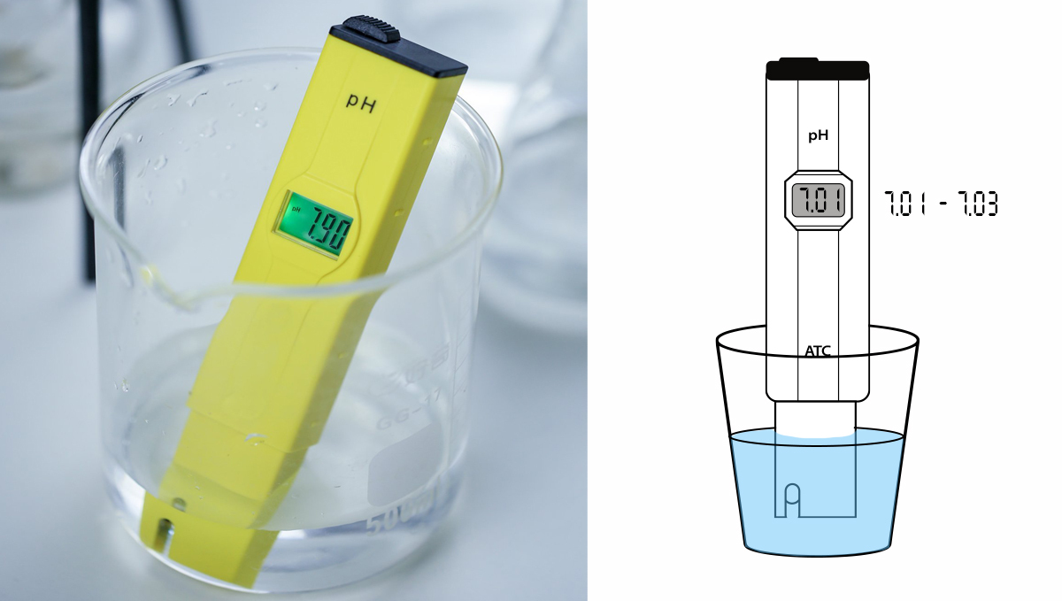 Warum und wie man ein pH-Messgerät verwendet: Schritt 2