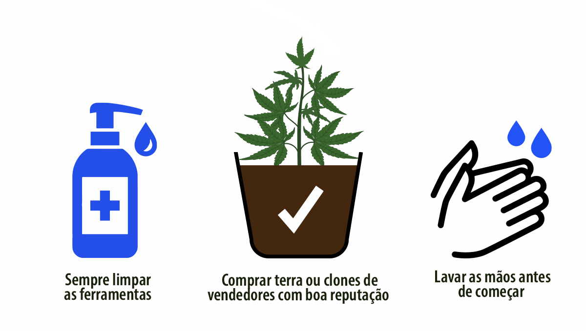 Tobacco Mosaic Virus: prevenção Tobacco Mosaic Virus: prevenção