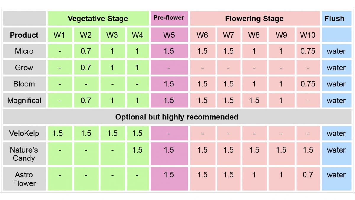 Remo nutrients usage guide: autoflowers in hydro