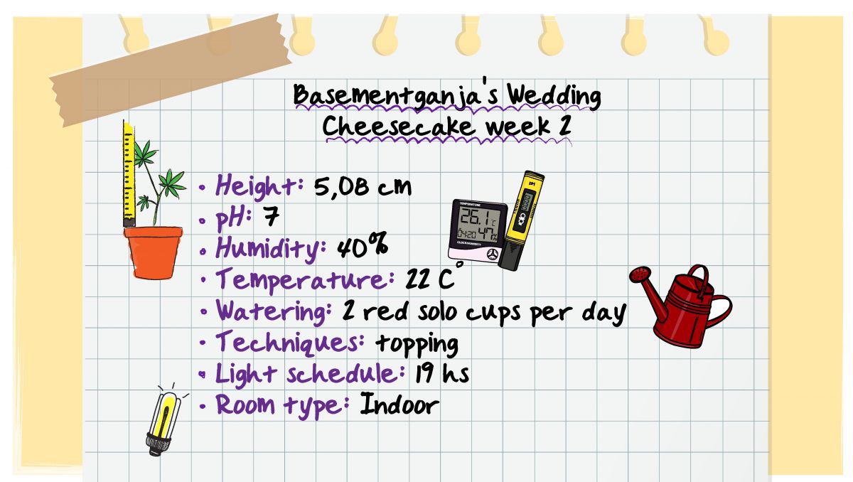 Week 2 - BasementGanja's specifications Week 2 - BasementGanja's specifications