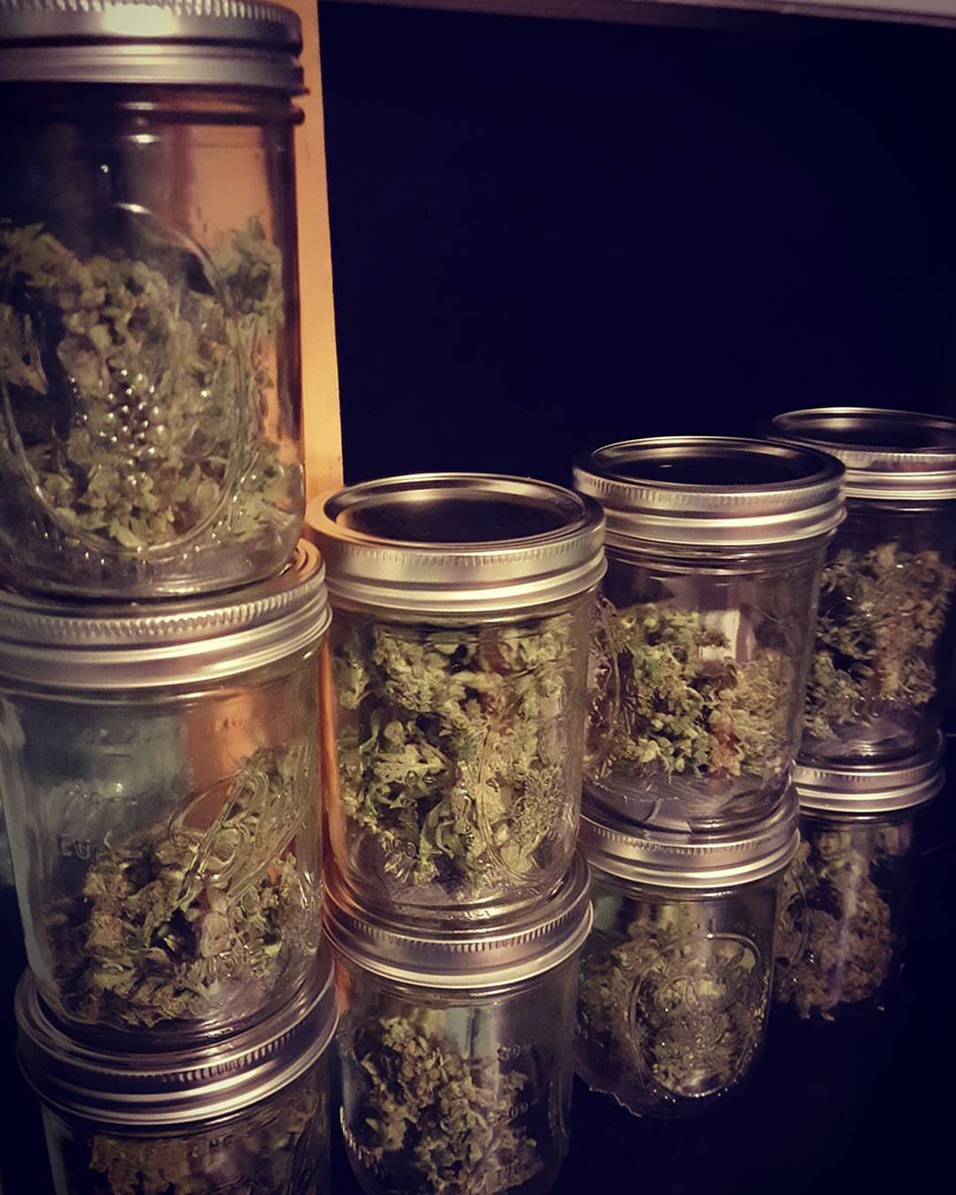 Fast Buds Gorilla Glue in Jars