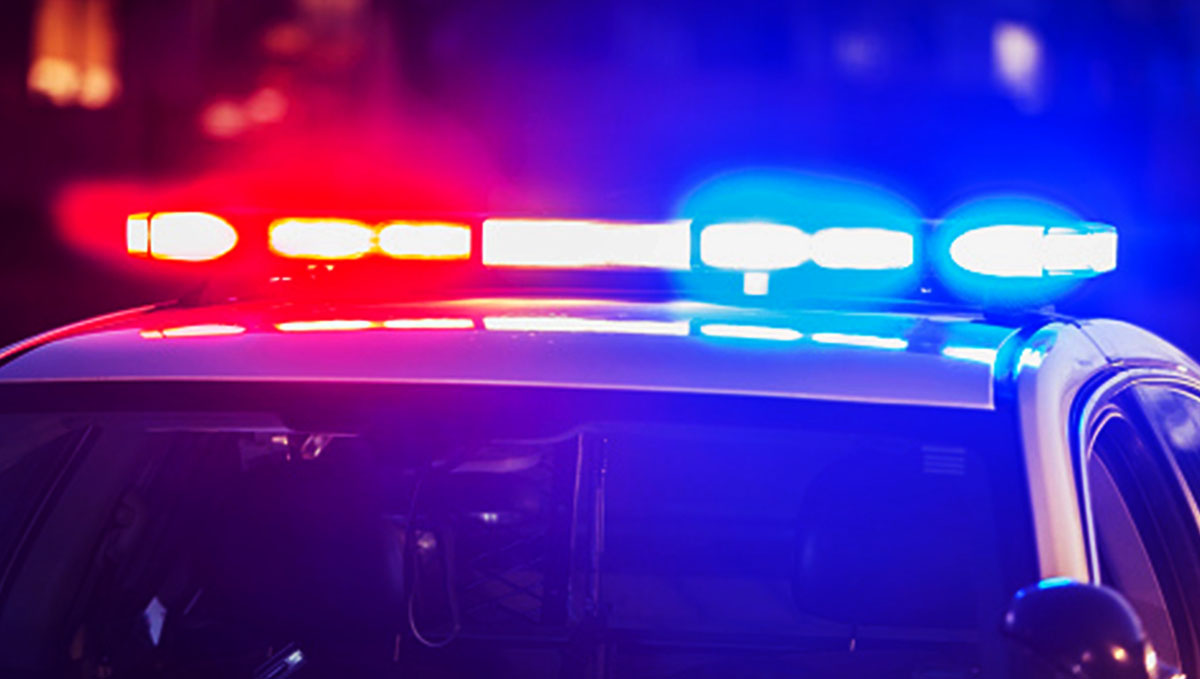 Nothing screams paranoia like seeing the police while stoned.