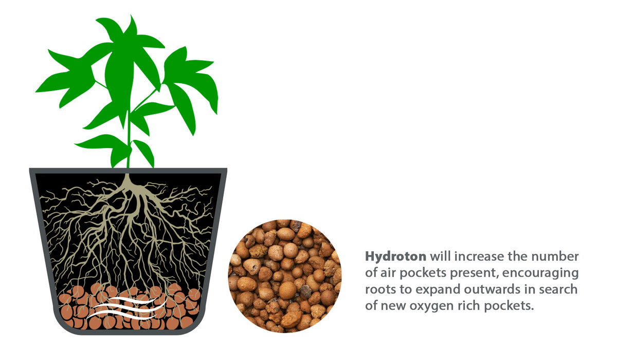 Best pot size for autoflowers: drainage Best pot size for autoflowers: drainage
