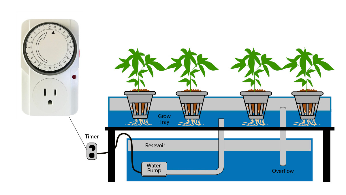 Timer for hydroponic setup Minuterie pour installation hydroponique