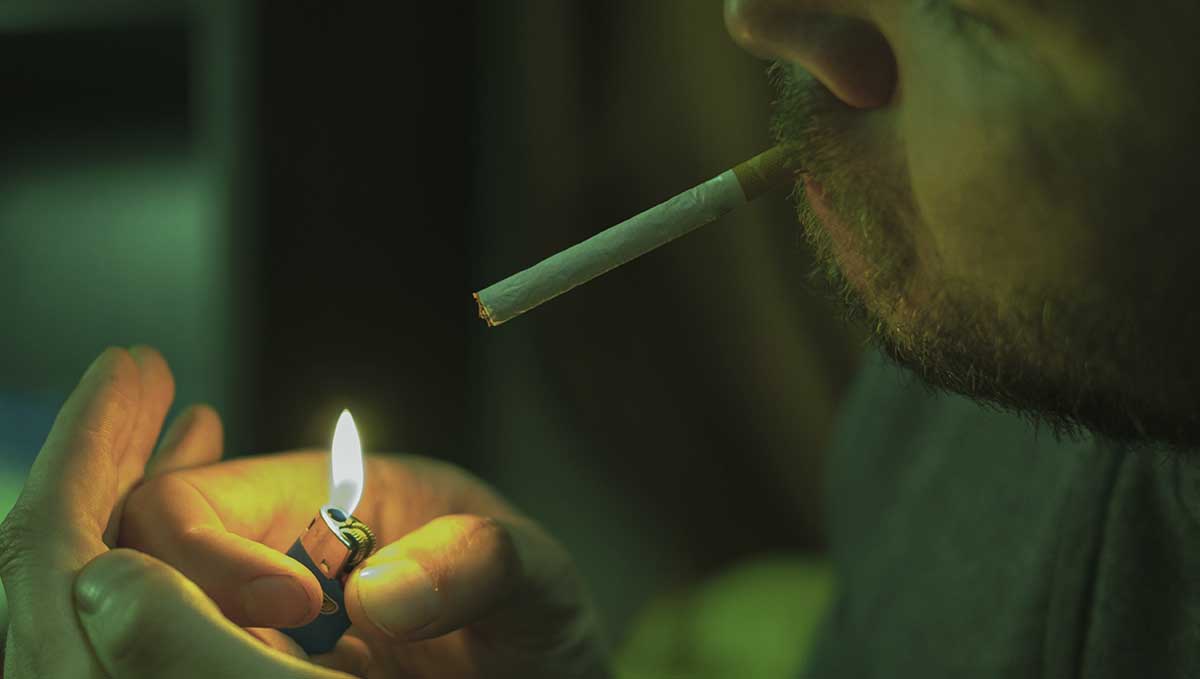 Tobacco and Weed: Everything You Should Know About Spliffs: Learn what effects nicotine and cigars cause. Tobacco and Weed: Everything You Should Know About Spliffs: Learn what effects nicotine and cigars cause.