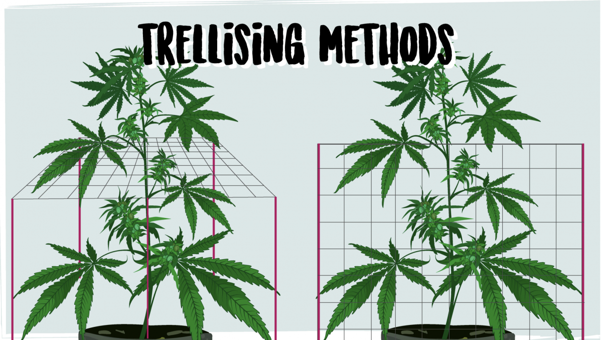 Screenshot 2021-05-04 at 13.01.39.png