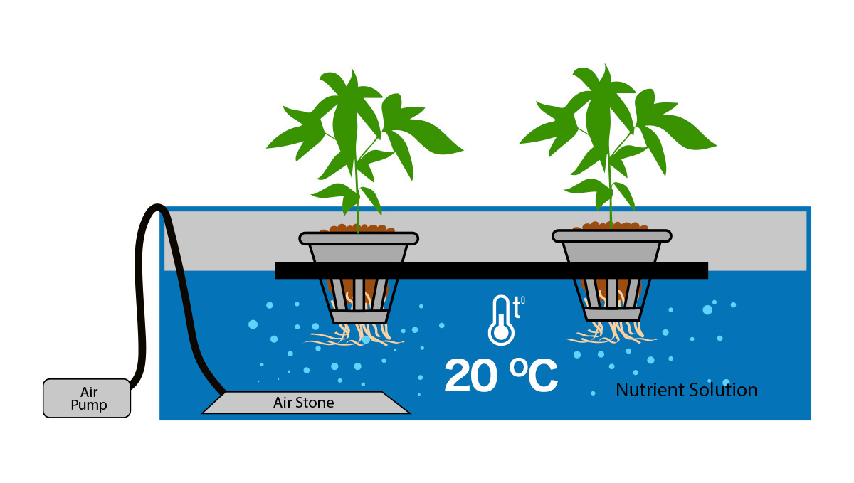 Controlling temperature in DWC Contrôle de la température dans le DWC