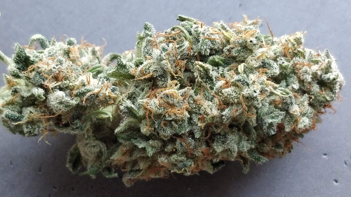 fastbuds Six shooter bud by dahoola