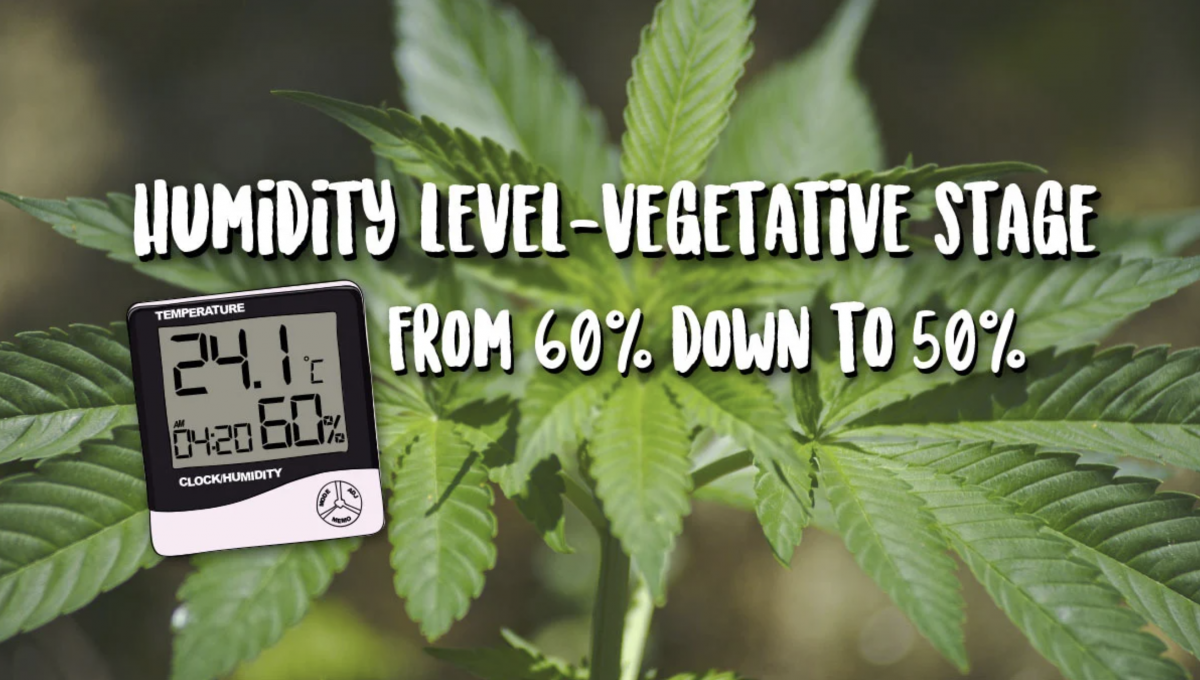 Screenshot 2021-05-04 at 12.54.49.png