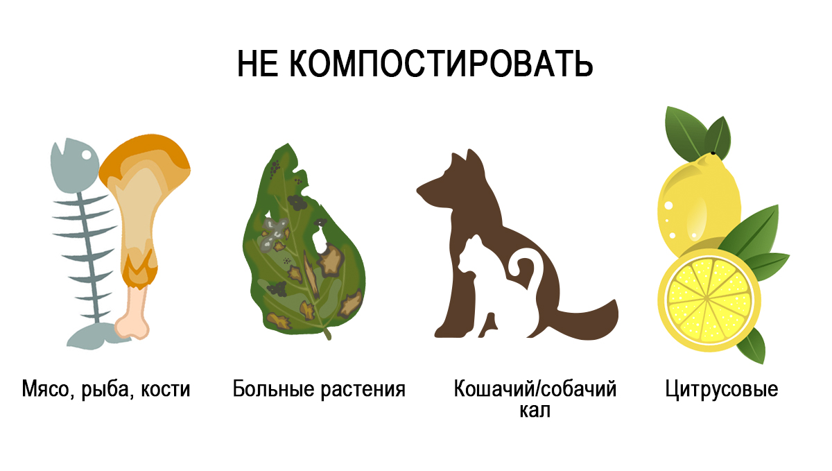 Composting: what not to compost