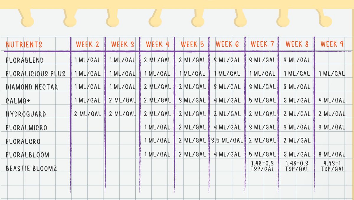 Gorilla Cookies Auto Cannabis Strain Week-by-Week Guide: Feeding schedule