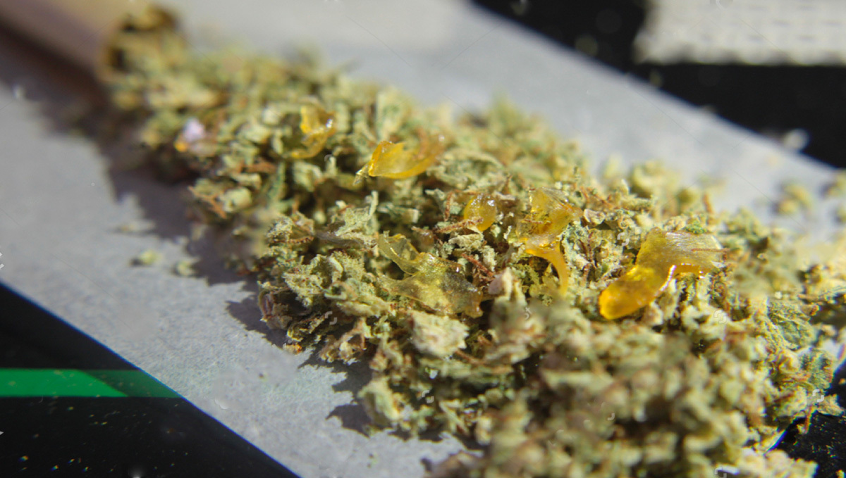 Cigarro com shatter