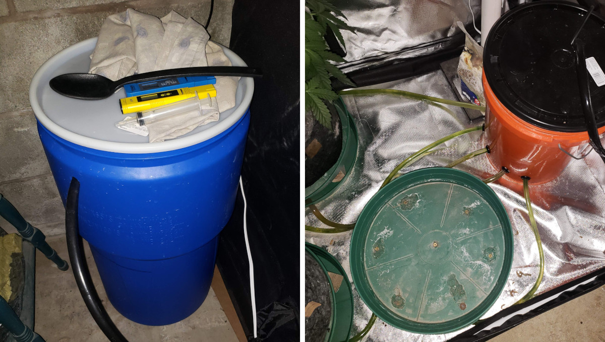 Strawberry Pie Auto Cannabis Strain Week-by-Week Guide: A reservoir, self-draining saucers, and a catchment bucket