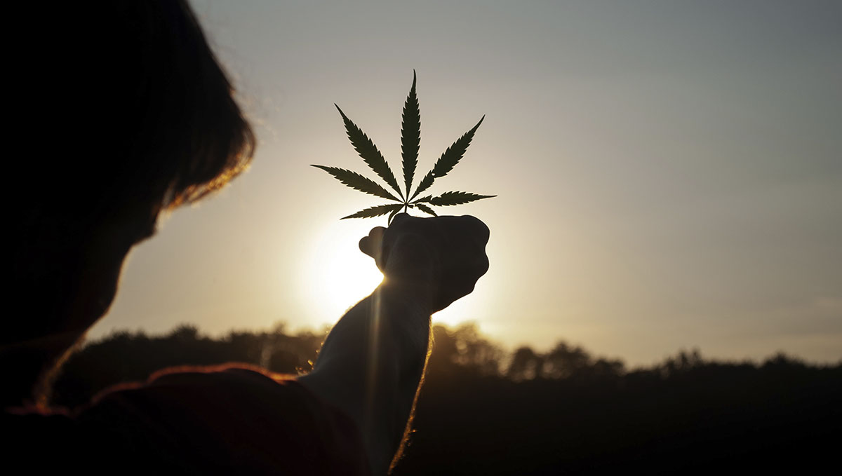Talk, talk and talk some more. Break the taboo about cannabis. Talk, talk and talk some more. Break the taboo about cannabis.