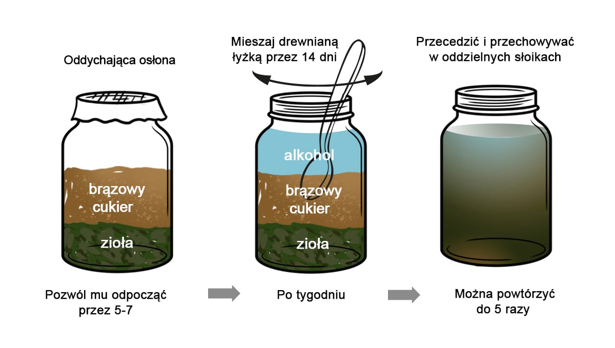 Koreańskie rolnictwo naturalne: receptura składników odżywczych ziół orientalnych