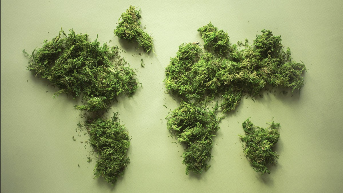 Screenshot 2021-04-30 at 13.29.07.png