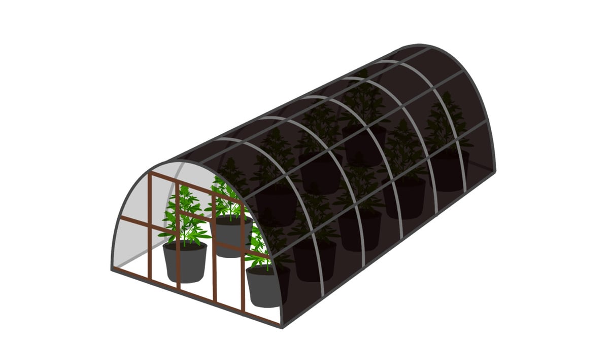 Best light schedule for flowering: outdoors Best light schedule for flowering: outdoors