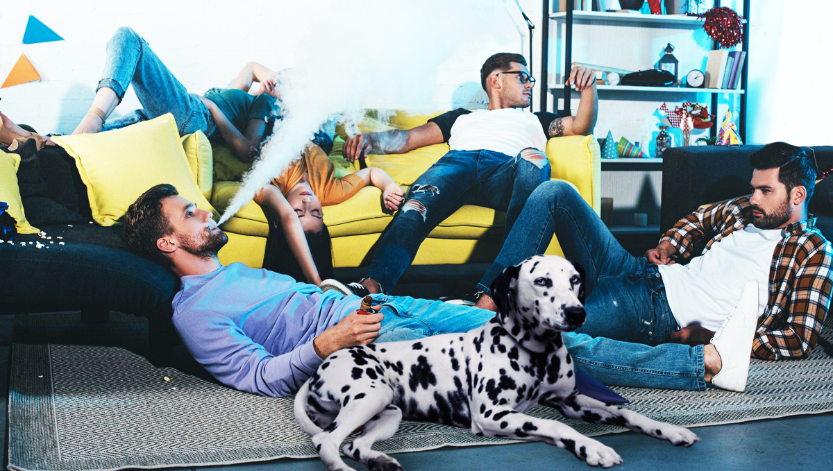 Can secondhand cannabis smoke harm your pet?