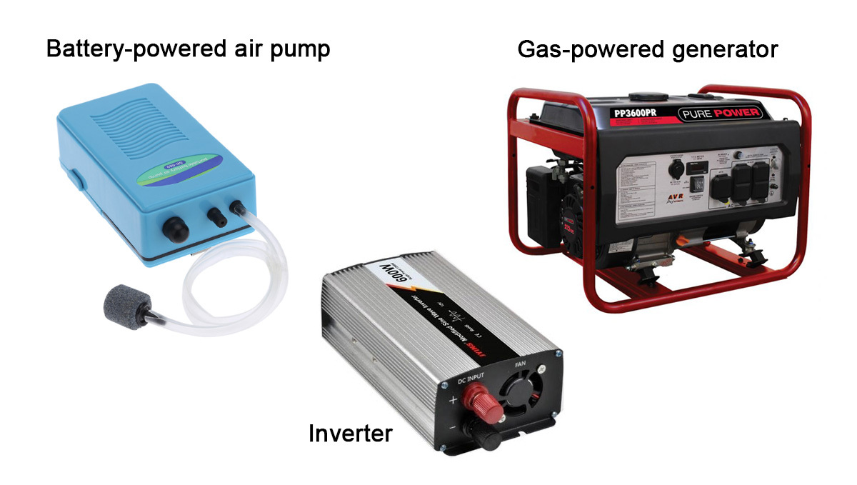 Indoor growing emergencies: power outage in hydro Indoor growing emergencies: power outage in hydro