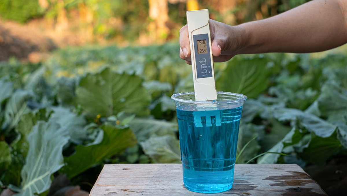 The importance of water purity: TDS meter The importance of water purity: TDS meter