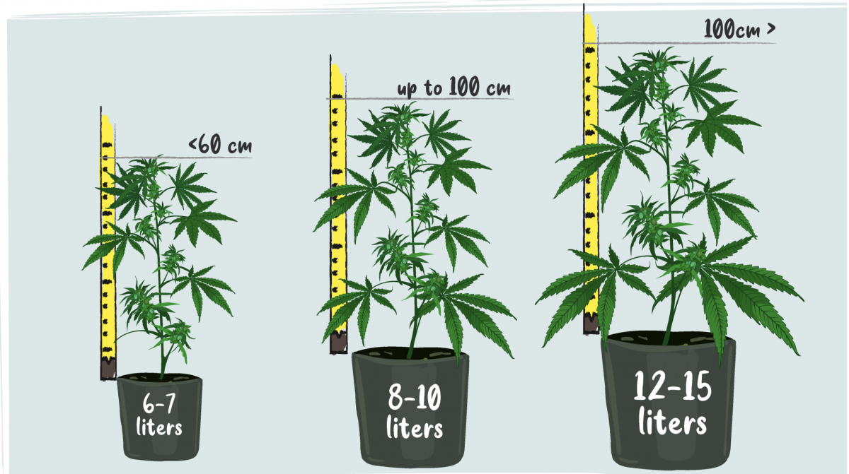 Screenshot 2021-05-04 at 12.58.14.png