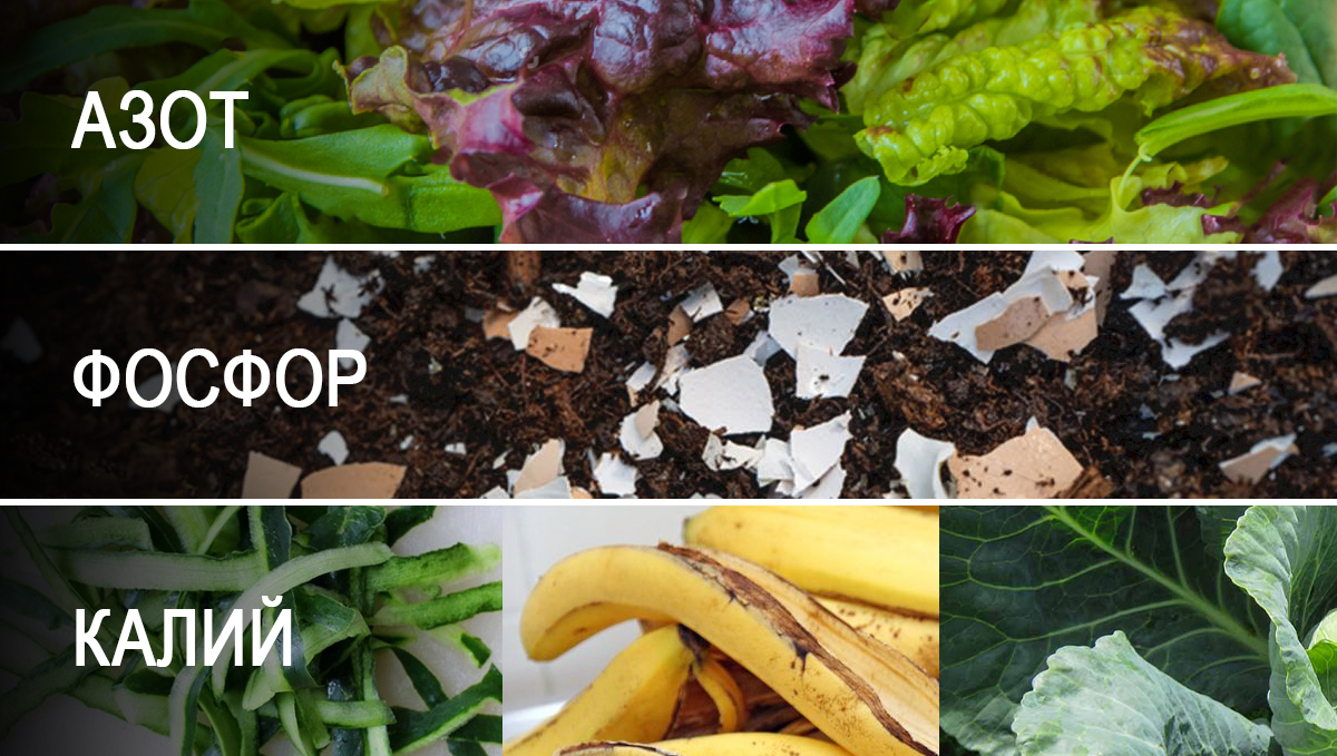 Composting: sources of NPK