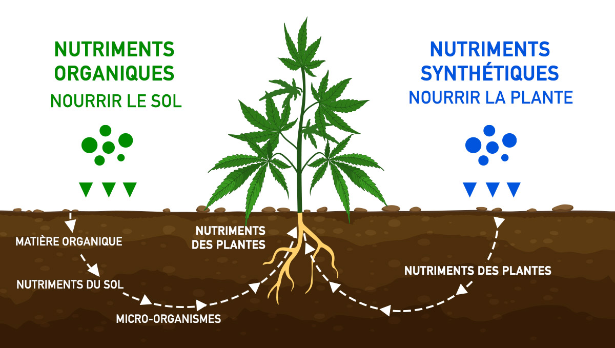 Comment fonctionnent les nutriments organiques et synthétiques