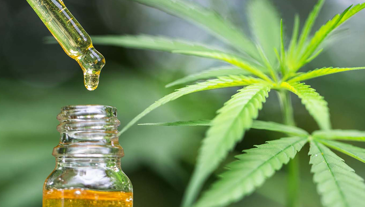 How to Make Cannabis Edibles: Canna Oil How to Make Cannabis Edibles: Canna Oil