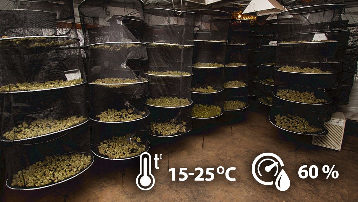 Perfect Dry Conditions for your drying room