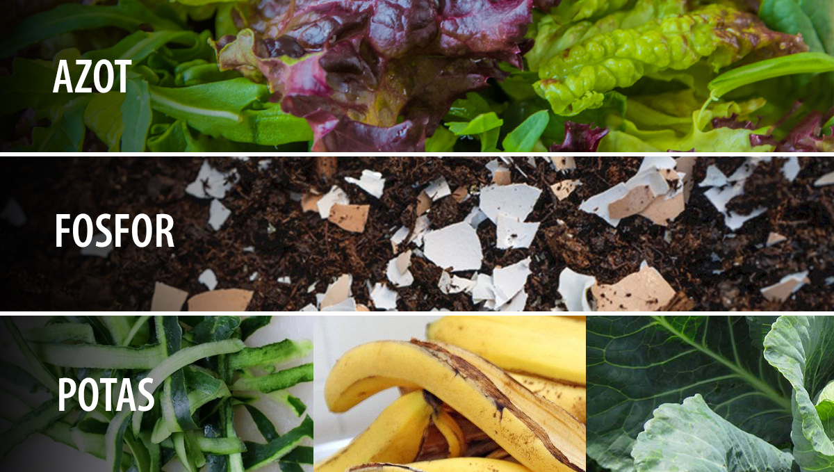 Composting: sources of NPK
