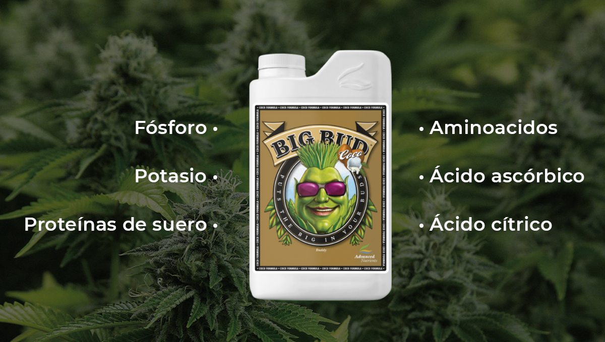 Nutrientes avanzados para autoflorecientes: big bud