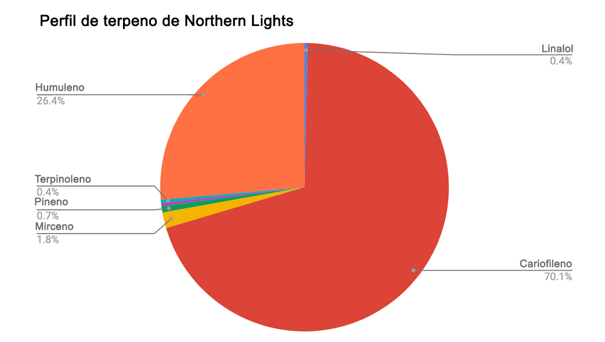 Northern Lights: perfil de terpenos Northern Lights: perfil de terpenos