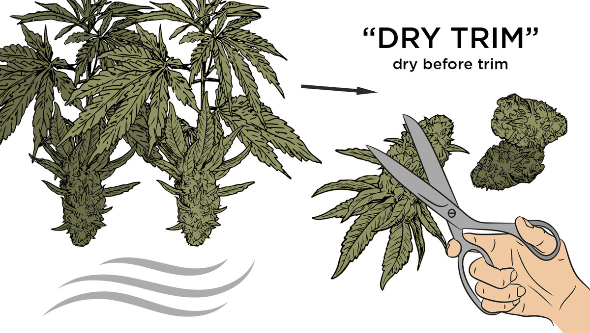 Dry Trim