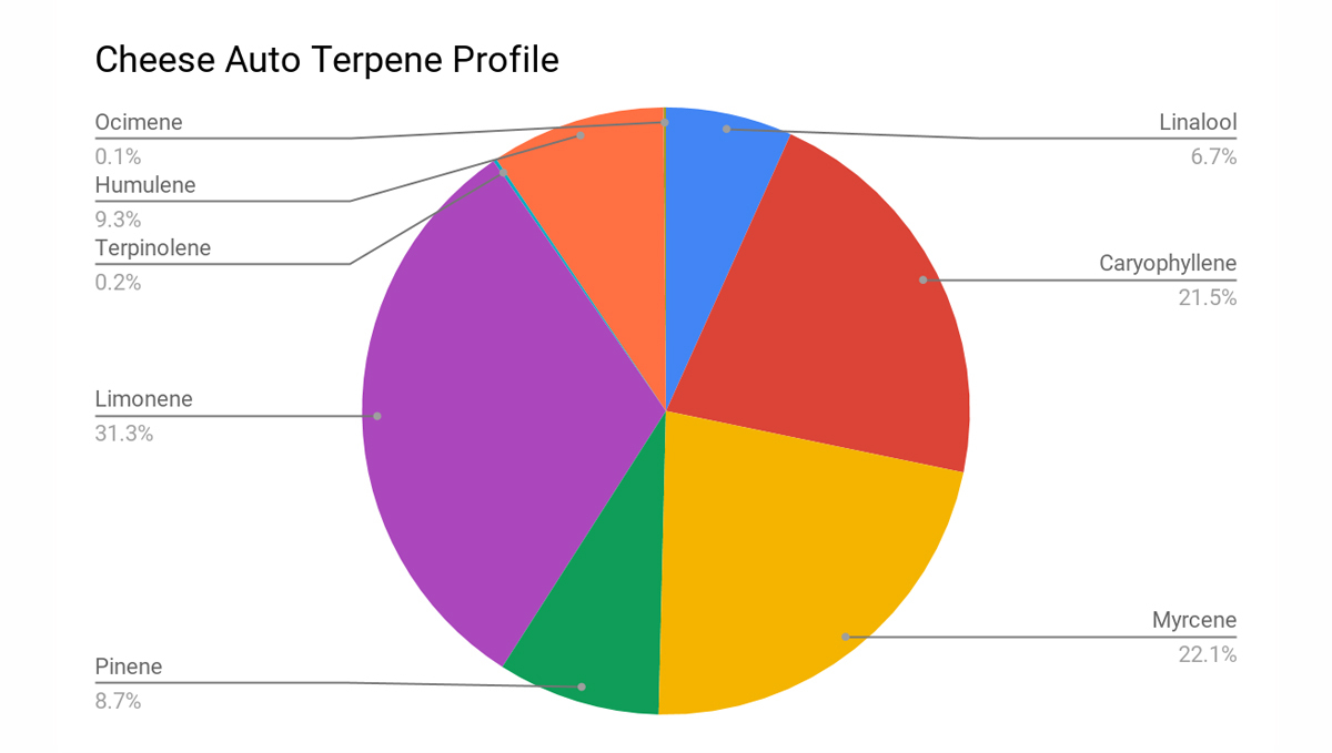 Cheese Auto: terpene profile Cheese Auto: terpene profile