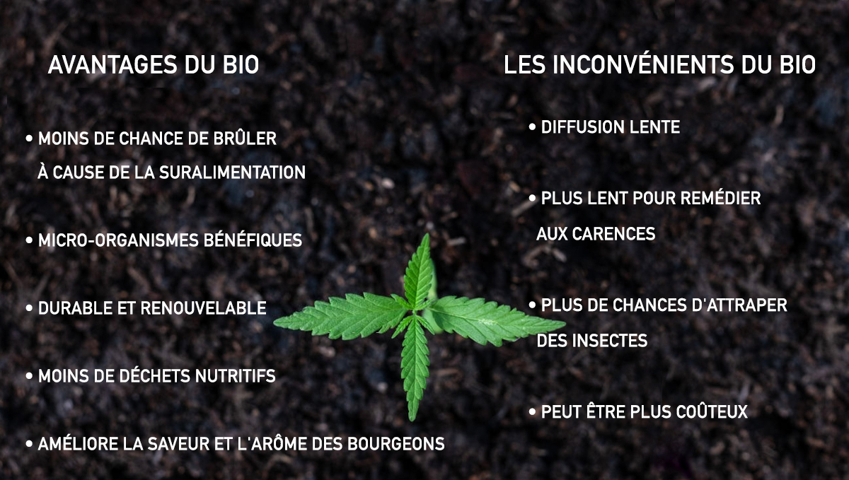 Avantages culture organique