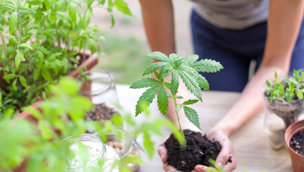 Bio tabs usage guide: step-by-step Bio tabs usage guide: step-by-step