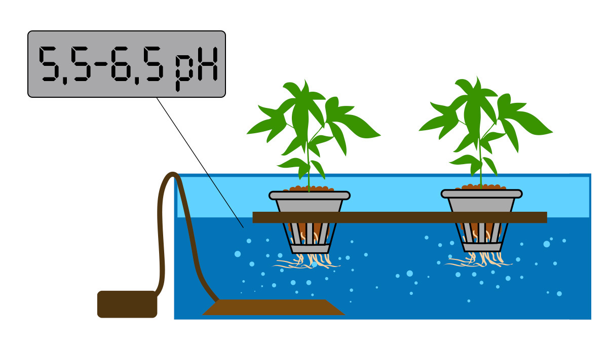 Optimum pH range when growing hydroponically