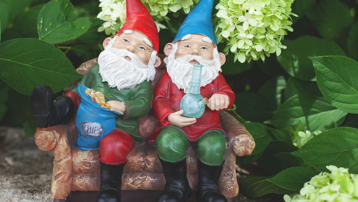 These stoner garden gnomes couldn't make the garden look any better! These stoner garden gnomes couldn't make the garden look any better!