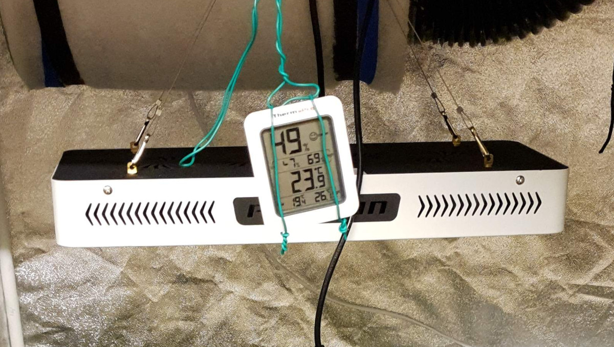 Orange Sherbet Auto Cannabis Strain Week-by-Week Guide: A generic LED fixture in a tent Orange Sherbet Auto Cannabis Strain Week-by-Week Guide: A generic LED fixture in a tent