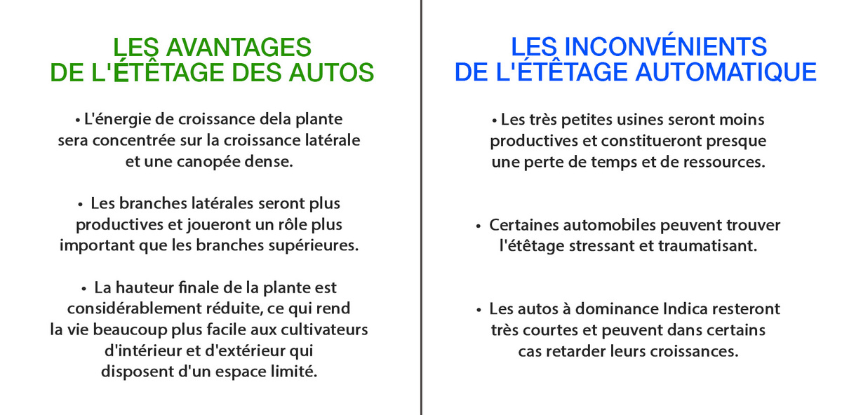 tabl Avantages et inconvénients du topping