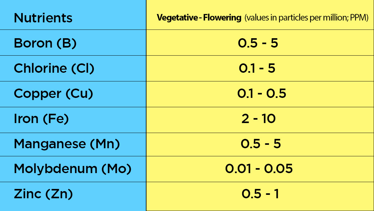 Recommended Amounts Of Micronutrients Quantità raccomandate di micronutrienti