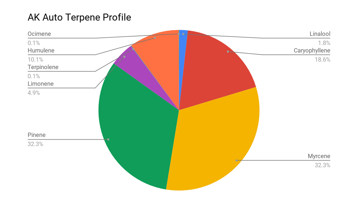Variedad de cannabis AK auto: perfil de terpenos Variedad de cannabis AK auto: perfil de terpenos