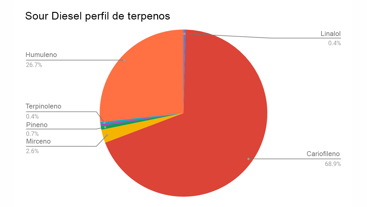 Sour diesel auto guía: perfil de terpeno sour diesel Sour diesel auto guía: perfil de terpeno sour diesel