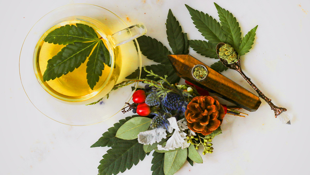 Who knew pinene terpenes kept us young? Who knew pinene terpenes kept us young?