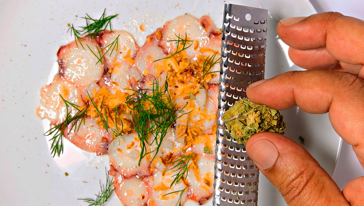 Grating raw cannabis Grating raw cannabis