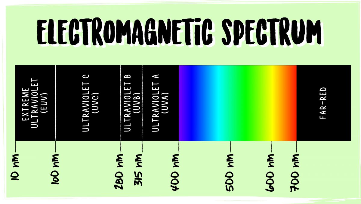 Best led lights for small spaces: par Best led lights for small spaces: par