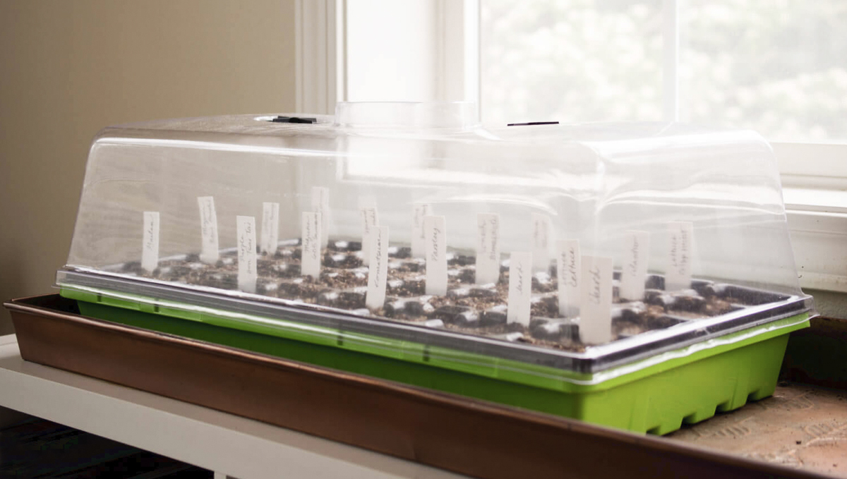 Keimungsanleitung: Keimkammer