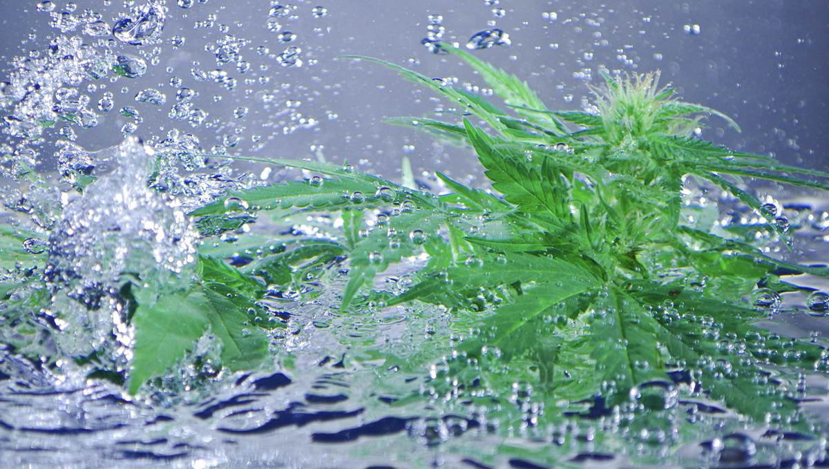 The importance of water purity: where do dissolved solids come from? The importance of water purity: where do dissolved solids come from?