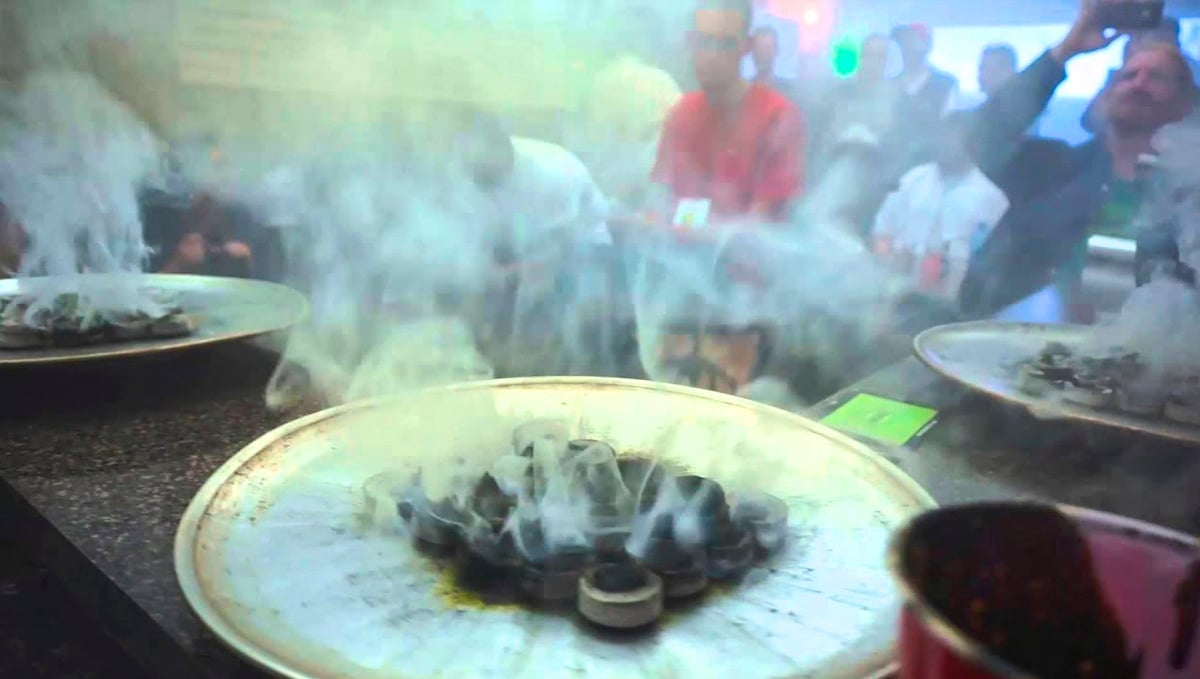 A estufa que bateu o recorde mundial com 800 gramas de dab A estufa que bateu o recorde mundial com 800 gramas de dab