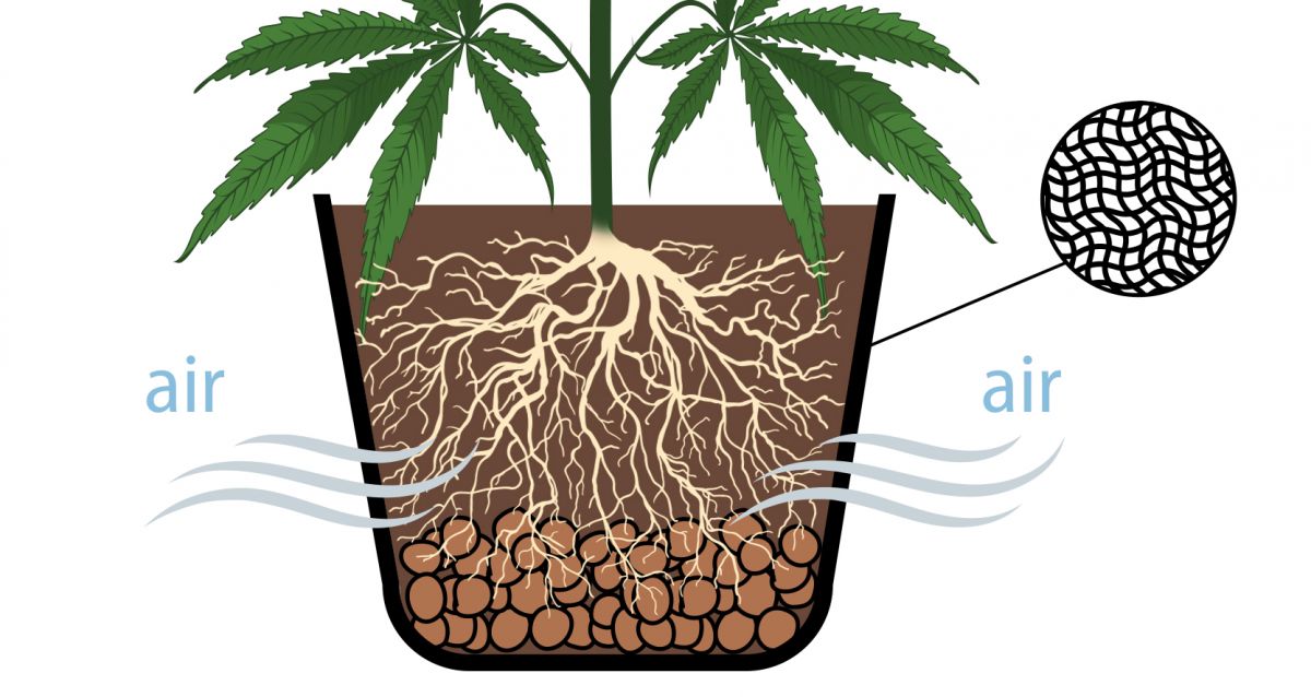 9 Mistakes to Avoid: aerated pots 9 Mistakes to Avoid: aerated pots